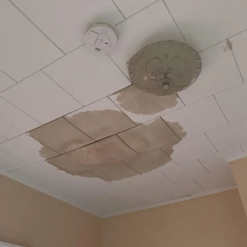 Ceiling Water Damage Repair in Kingston, OH