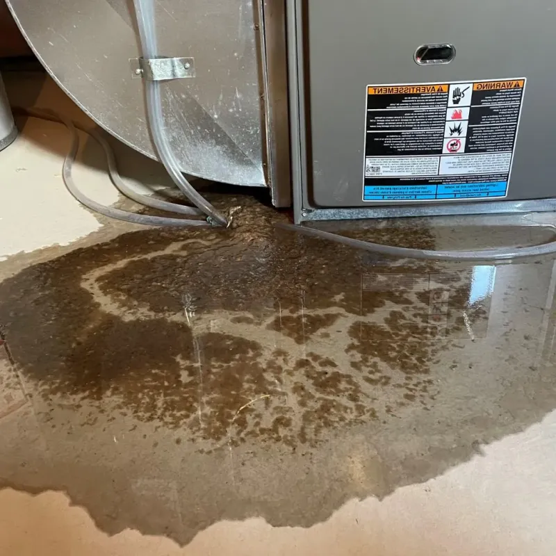 Pipe Burst and Leak Restoration in Kingston, OH