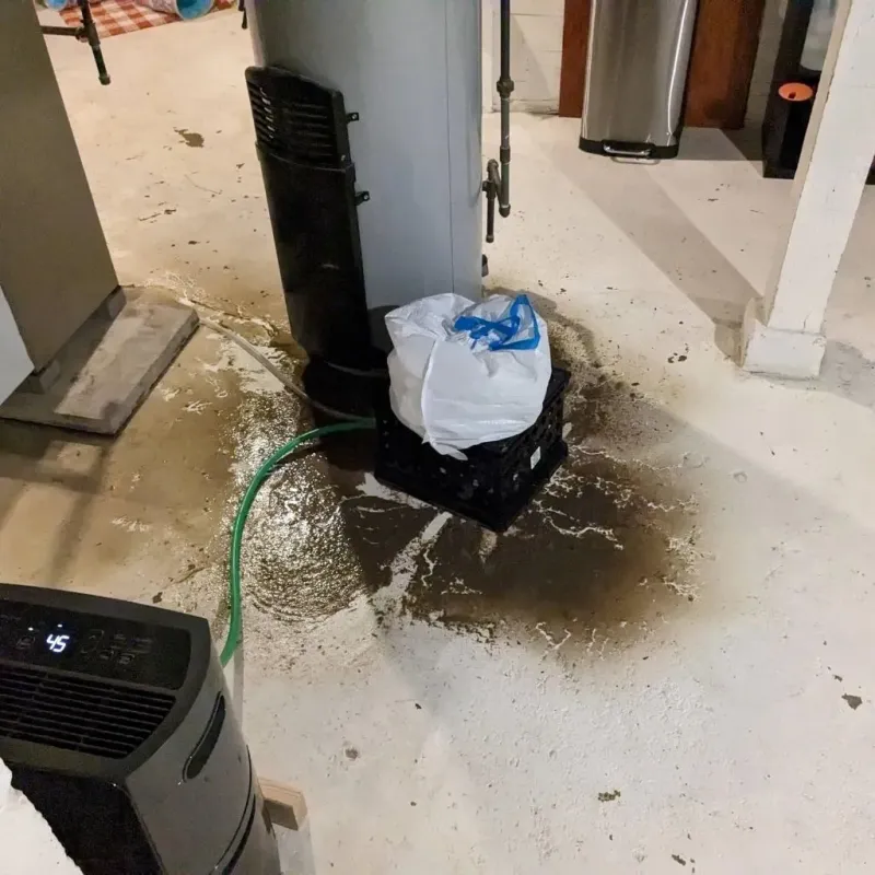 Sewage Backup Cleanup Service in Kingston, OH